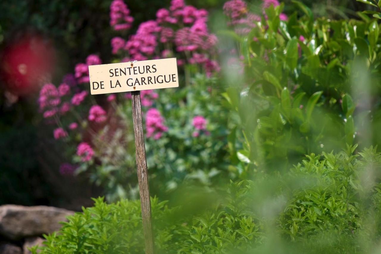Maison De Village La Clemaline Figanieres Ngoại thất bức ảnh